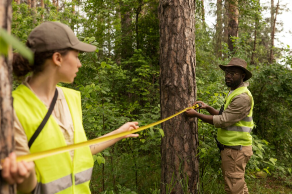 Avaliação Ambiental: Entenda sua Importância e Como Realizá-la Corretamente