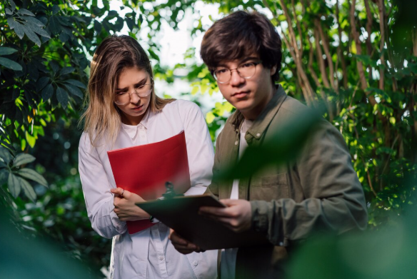 Como Realizar uma Avaliação Ambiental Eficiente para Projetos Sustentáveis